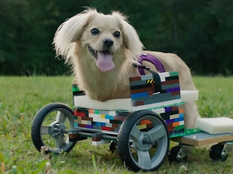 Construit avec des laïcs, un fauteuil roulant pour un chiot