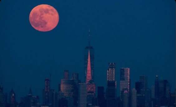 Strawberry Moon: Où et quand le voir au Venezuela?