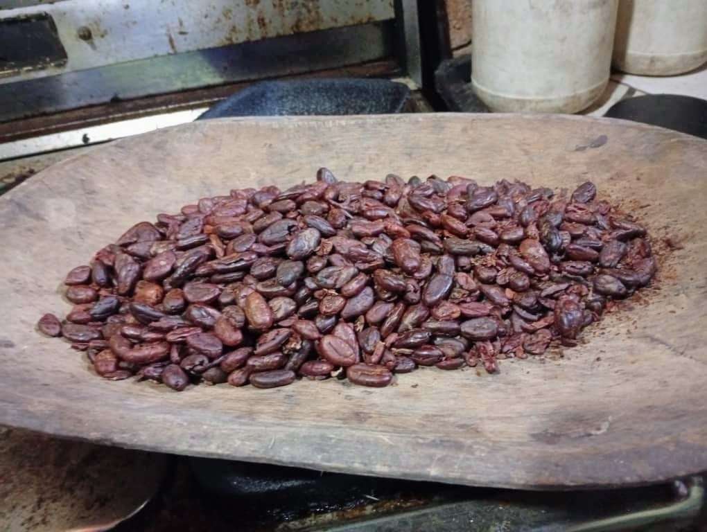 Avec le plan pilote, ils conduisent la culture de cacao à Cojedes