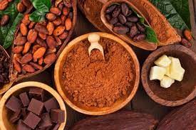 Science avec sceau vénézuélien. Cocoa vénézuélien, nourriture des dieux qui continue de séduire le monde