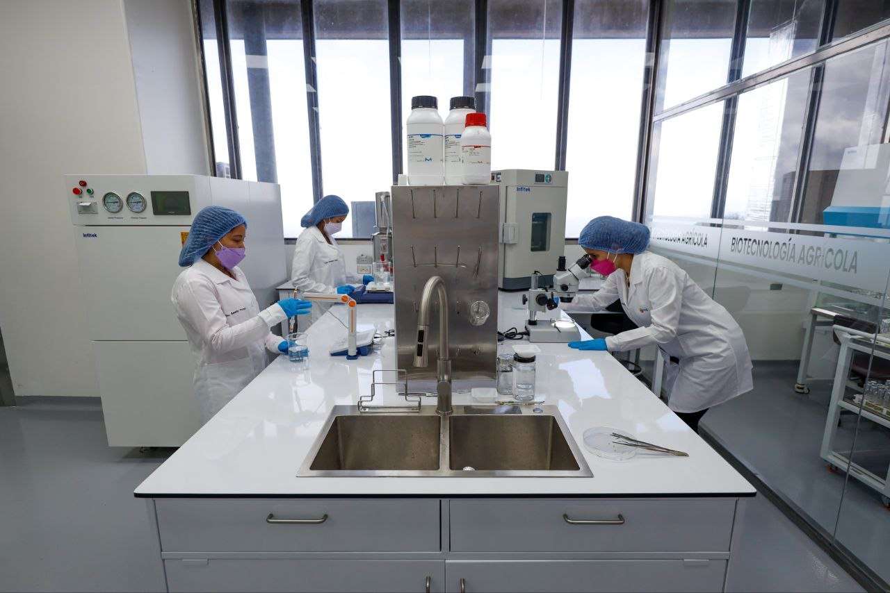 Biotechnologie agricole à l’épreuve du climat
