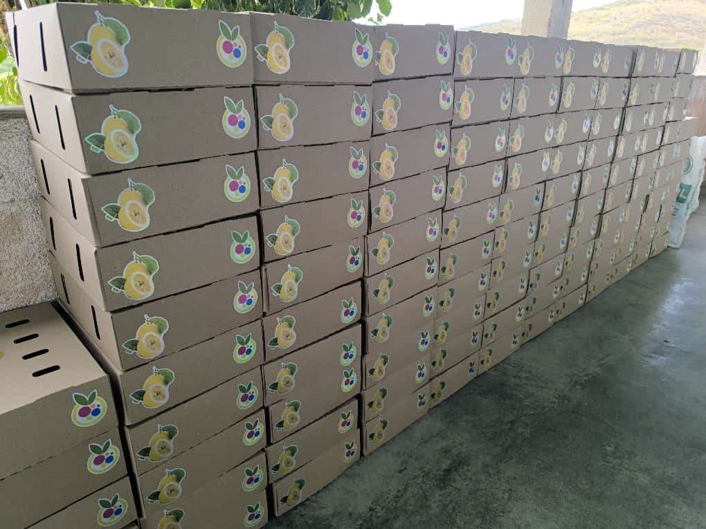 De Lara, ils exportaient des fruits vers le marché espagnol