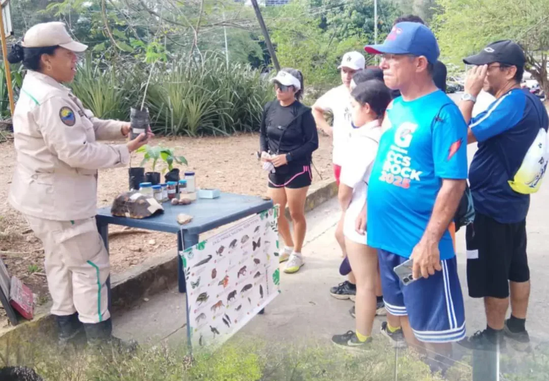 Inparques promeut des « Vitrines vertes » pour éduquer à Aragua
