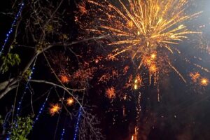 Le bruit des feux d’artifice affecte les garçons et les filles autistes