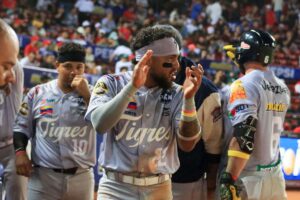 Les Tigres n&rsquo;ont jamais chuté lors du tour des wild card
