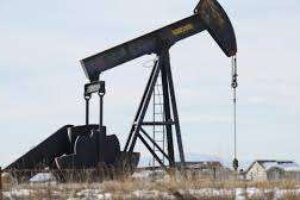 Début de la collecte de données dans les entreprises de la côte Est du Lac