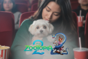 Une journée cinéma avec votre chien à l&rsquo;avant-première de Zootopia 2