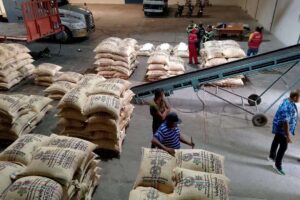 La ferme de café Lara, pionnière dans l&rsquo;exportation de café