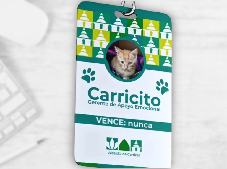 Carricito, un sauvetage qui a fait la différence
