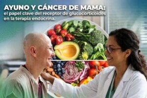Jeûne et cancer du sein : le rôle clé du récepteur des glucocorticoïdes