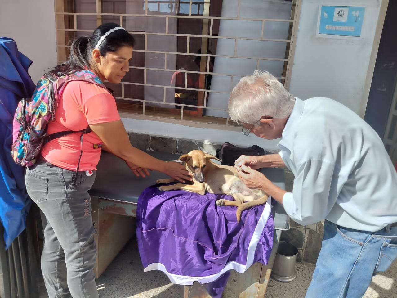 La Mission Nevado a soigné plus de deux mille animaux à Turmero