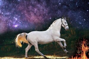 Le cheval