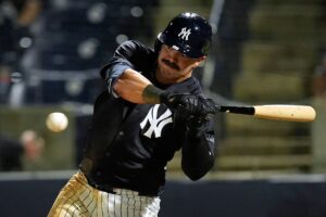 « Les Yankees sont du baseball », disent les fans de l&rsquo;équipe