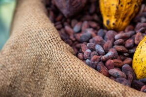 Les prix du cacao chutent à 4 000 dollars la tonne