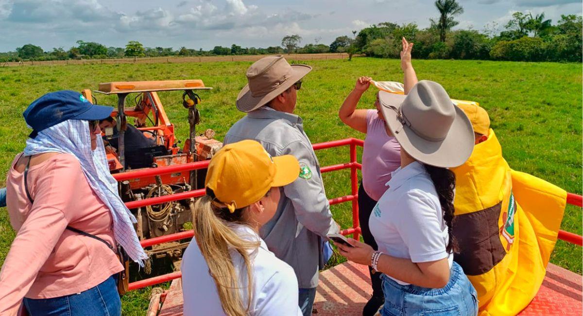 La ANT recuperó 427 hectáreas que serán entregadas a campesinos en el Urabá antioqueño. Foto:  Agencia Nacional de Tierras