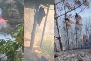 L&rsquo;incendie de forêt à Sutatenza a détruit cinq maisons et des familles évacuées
