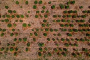 MinAmbiente et Ideam mettent en garde contre un éventuel phénomène El Niño pour le milieu de l&rsquo;année