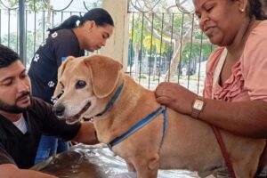 Mission Nevado commence une campagne de vaccination massive à Anzoátegui
