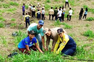 Plus de 230 hectares seront reboisés à Yaracuy avec le Plan Chuquisaca