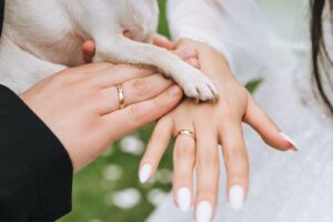 un couple se marie dans une clinique vétérinaire pour ne pas se séparer de leur chien atteint d&rsquo;un cancer