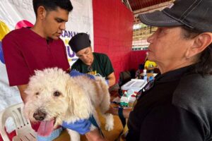 Des soins vétérinaires gratuits bénéficient à 150 animaux de compagnie à Maturín
