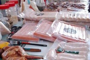 Aragua produit 100 tonnes de viande de lapin par an