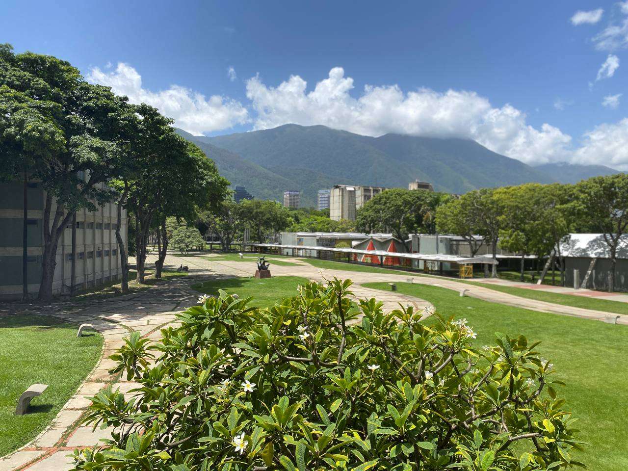 Ils réhabilitent plus de 500 000 mètres carrés d'espaces verts à l'UCV