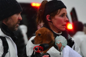 Ils sauvent des beagles qui seraient utilisés pour l&rsquo;expérimentation animale