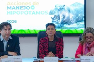 Le gouvernement Petro autorise l&rsquo;euthanasie des hippopotames hérités de Pablo Escobar