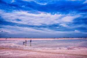 Avec un sceau vénézuélien : la puissance des salines roses qui battent l&rsquo;Himalaya