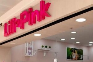 SAE explique ce qui arrivera à Lili Pink et à ses employés après le processus de confiscation de domaine