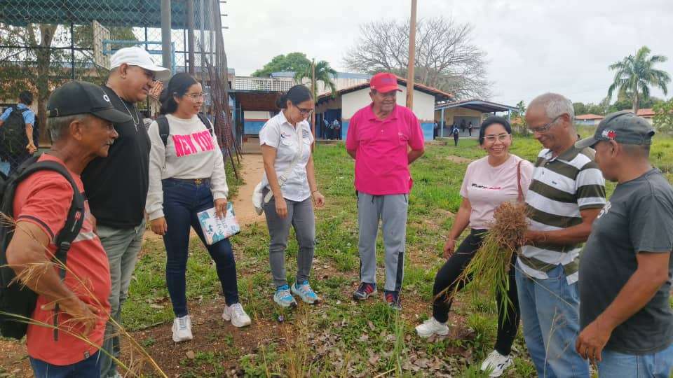 Avec 300 plants de bananiers, ils activent la production scolaire à Monagas
