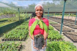 Ils promeuvent le cacao vénézuélien du futur