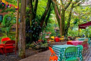 Ni Medellín ni Envigado : la commune voisine où l&rsquo;on mange aussi très bien