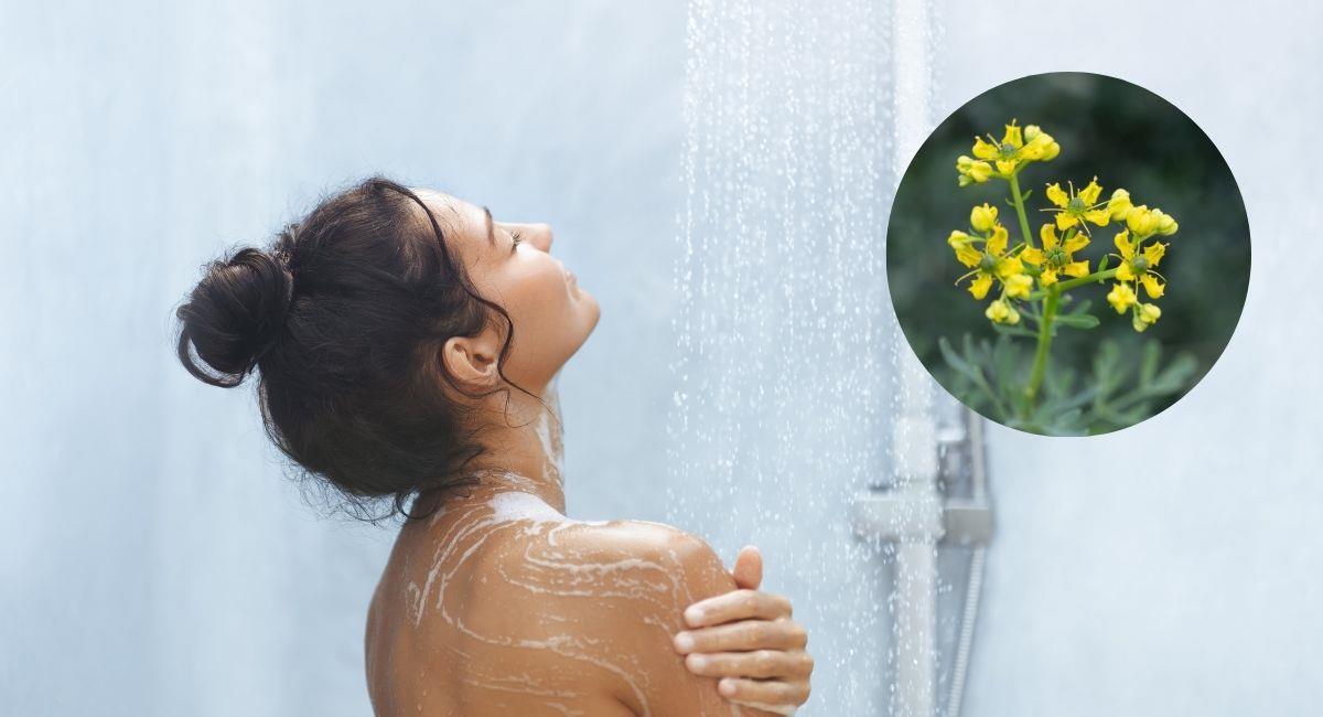 Cómo preparar un baño con ruda para repeler malas vibras. Foto: Shutterstock