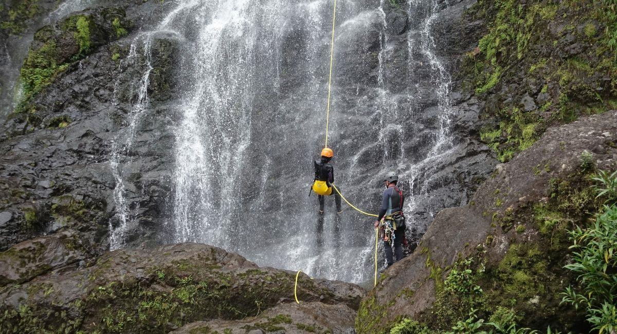 Destinos cerca de Medellín para hacer planes de turismo de naturaleza este 2026. Foto: Shutterstock Alexander Brenner