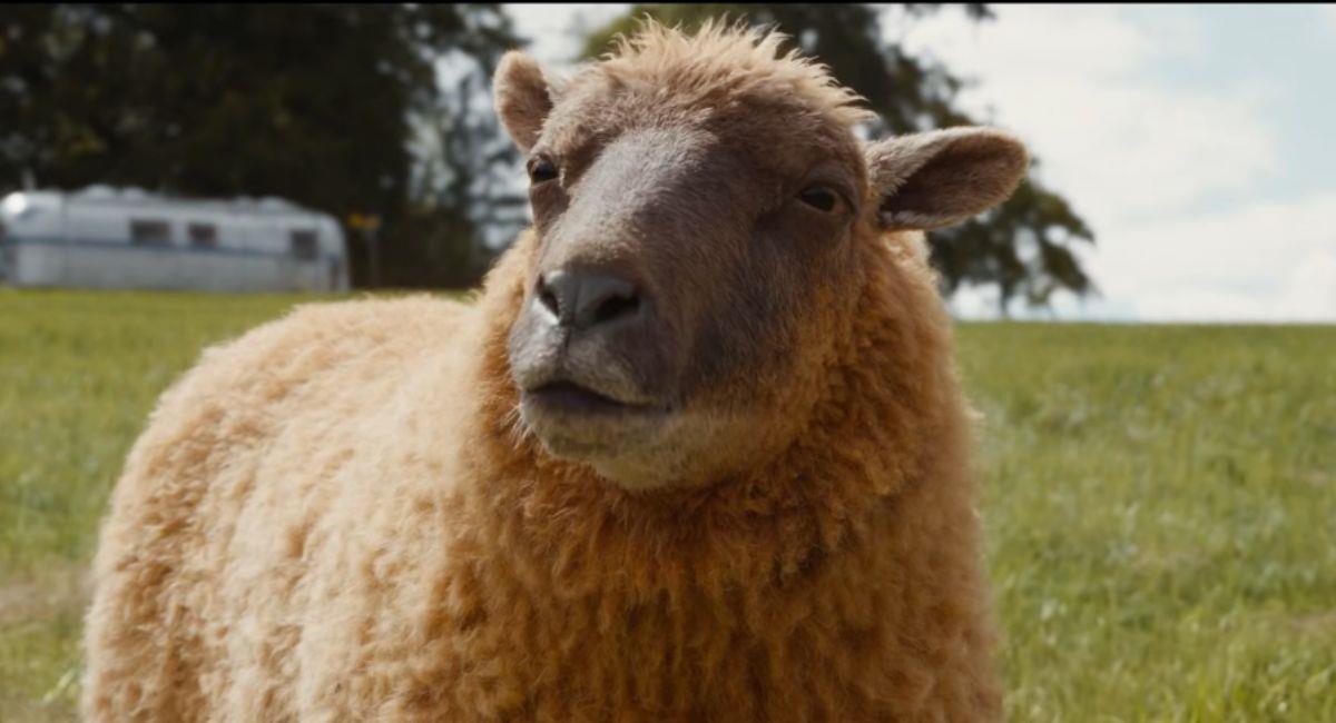 Las Ovejas Detectives - The Sheep Detectives