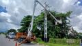 Ils nettoient les lignes électriques avec des pioches et des élagages dans 4 communautés de Yaracuy