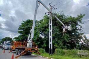 Ils nettoient les lignes électriques avec des pioches et des élagages dans 4 communautés de Yaracuy