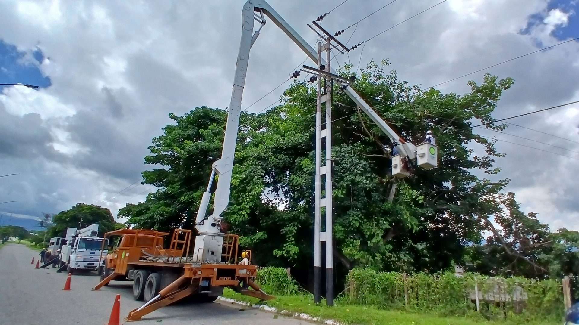 Ils nettoient les lignes électriques avec des pioches et des élagages dans 4 communautés de Yaracuy