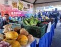 Maracaibo produit 48% des produits agricoles qu&rsquo;elle consomme