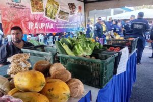 Maracaibo produit 48% des produits agricoles qu&rsquo;elle consomme