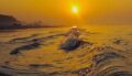 La température mondiale de la surface de la mer bat un record historique et déclenche des alertes