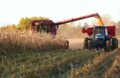 Plus de 200 000 hectares de maïs sont récoltés à Portuguesa