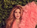 Shakira arrive en Espagne pour la fin historique de sa tournée