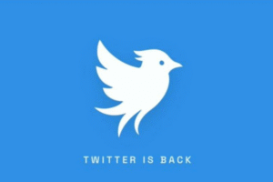 « twitter.now » arrive, un réseau social qui cherche à faire revivre l&rsquo;héritage du nom original de la plateforme