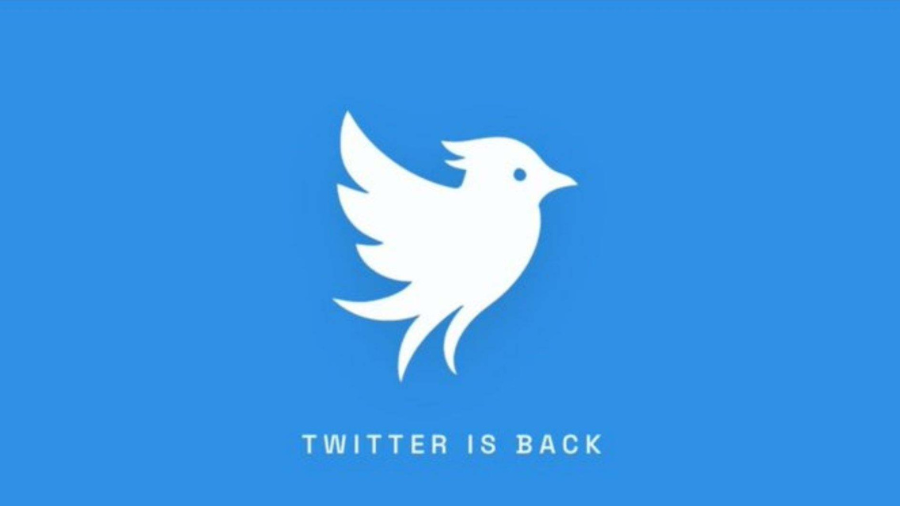 "twitter.now" arrive, un réseau social qui cherche à faire revivre l'héritage du nom original de la plateforme