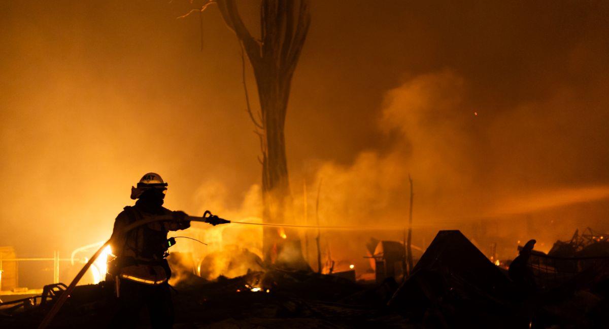 Los incendios forestales crecen con un fenómeno del Niño más intenso. Foto: Shutterstock