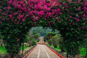 Guayatá, Boyacá: la ville qu&rsquo;on compare à l&rsquo;Europe et comment s&rsquo;y rendre