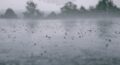 IDEAM met en garde contre de nouvelles pluies et de fortes tempêtes en Colombie